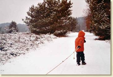 20090114-01 Op de hei in de sneeuw